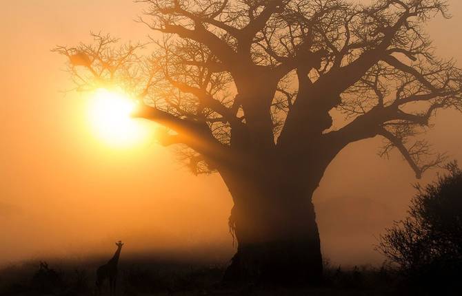 Africa Geographic Photographer of the Year Award