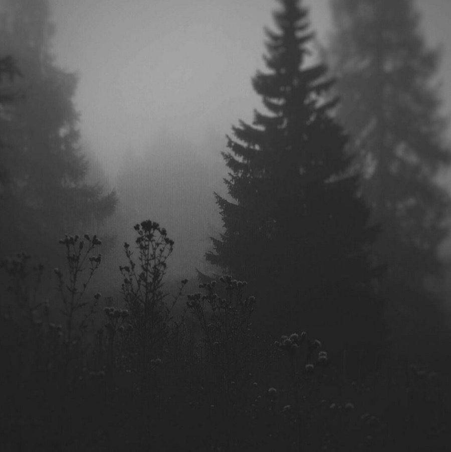 spooky-7 – Fubiz Media