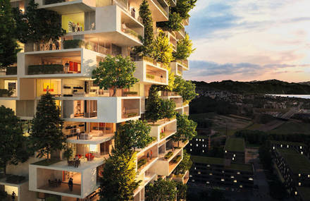 Apartment Tower Filled by Trees