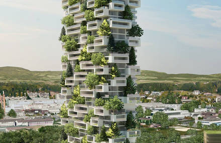 Apartment Tower Filled by Trees