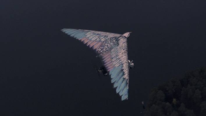 Woman Flying Like a Bird