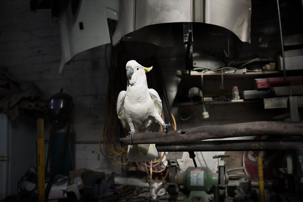 Jerry at Home. (Photo by Fergus Leese:Australian Life Prize 2015)