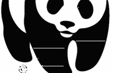 Turning the WWF Panda Logo Into Other Endangered Species