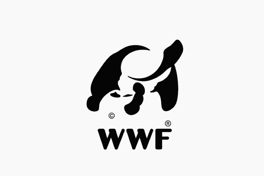 WWFlogotransforming5