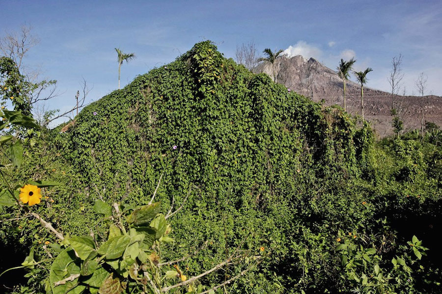 abandonedvillagesindonesia-8