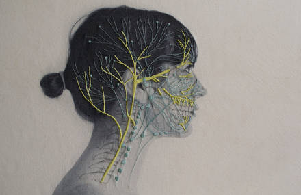 Anatomical Embroideries Series