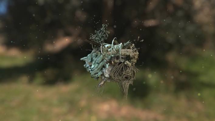 Digital Lifeforms Responding to Manipulated Audio Recordings