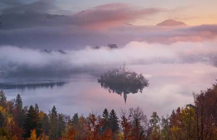 Harmony of Fall