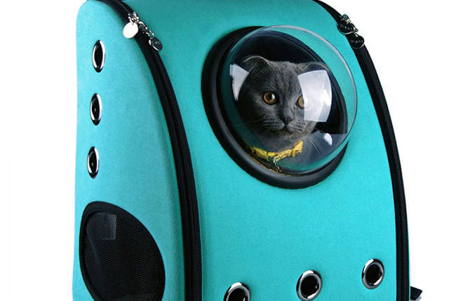 Stylish Backpack Carrier for your Cat