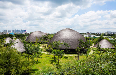 Bamboo Domes Emerging Over Park in Ho Chi Minh
