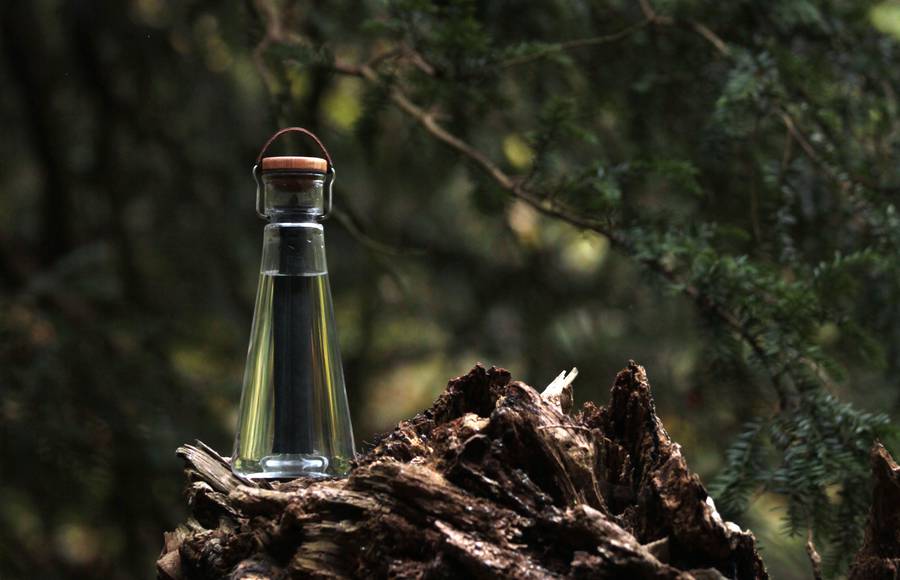 Elegant Bottle With Natural Bamboo Filter to Purify Tap Water