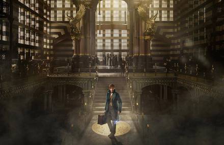 Fantastic Beasts and Where to Find Them – Announcement Trailer