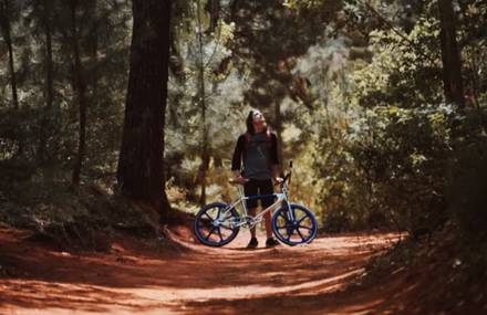 Bogarde New BMX Spirit