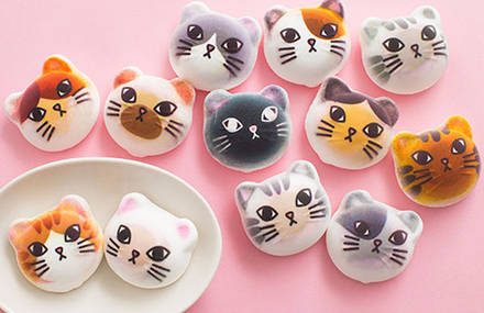 Cute Catshmallows by Felissimo