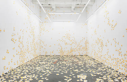 A Gallery Filled by 7000 Fried Eggs