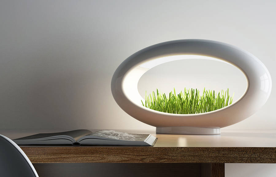 Modern Desktop Garden