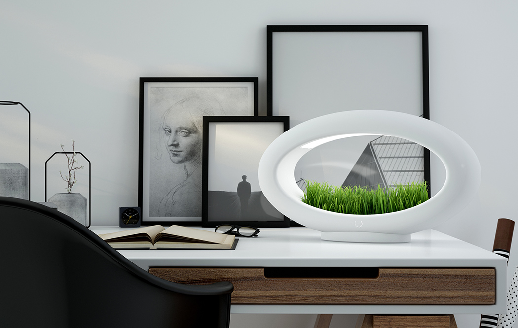 desktopgarden3