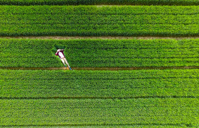 Best Drone Pictures 2015
