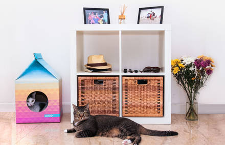 Eco-Friendly Playhouses for Cats