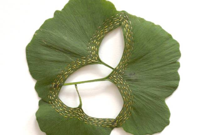 Embroidered Plant Leaves