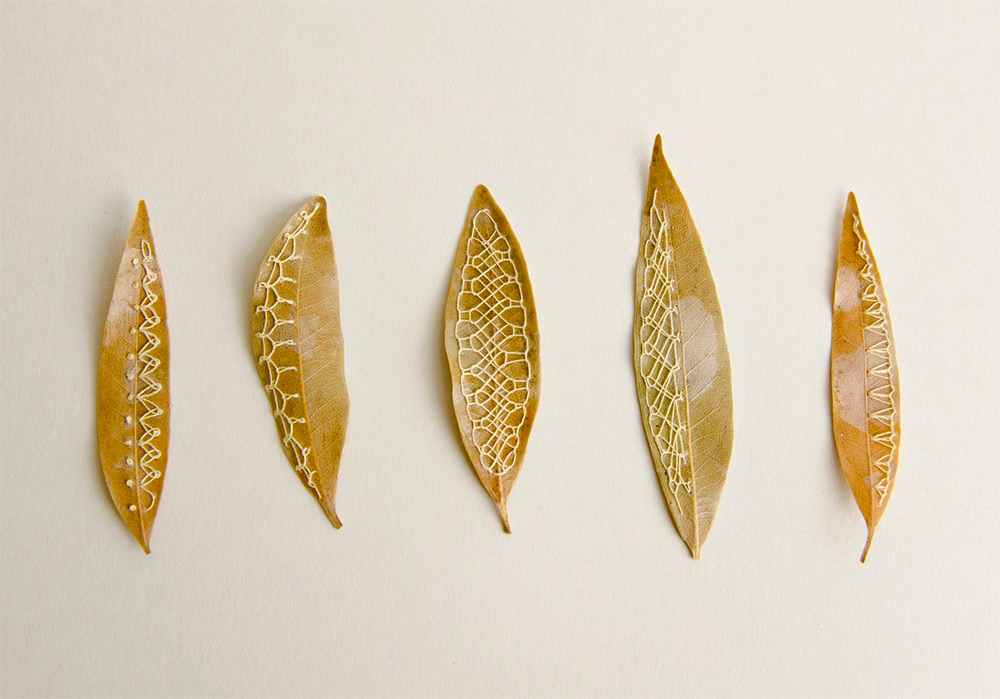 emboiredleaves9