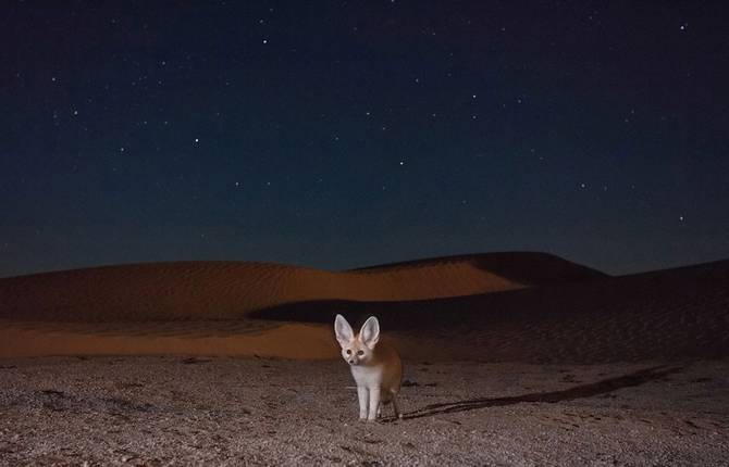 2015 Fritz Polking Nature Photography Prize