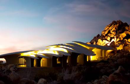 Wonderful Organic House in California