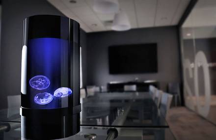 Jellyfish Led Lamp Aquarium
