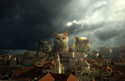 Parallel Reality Series
