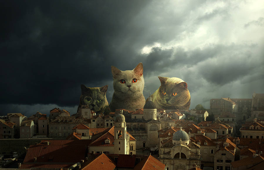 Parallel Reality Series