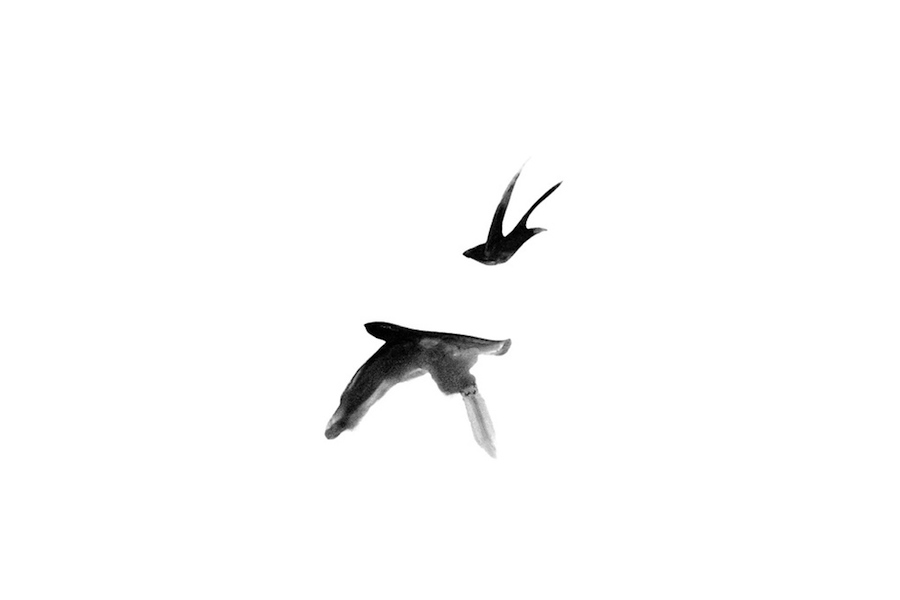 poeticbirdsscarves-3
