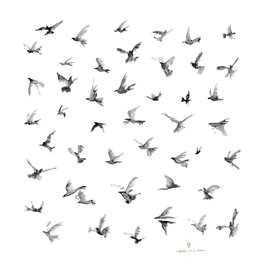 poeticbirdsscarves-6