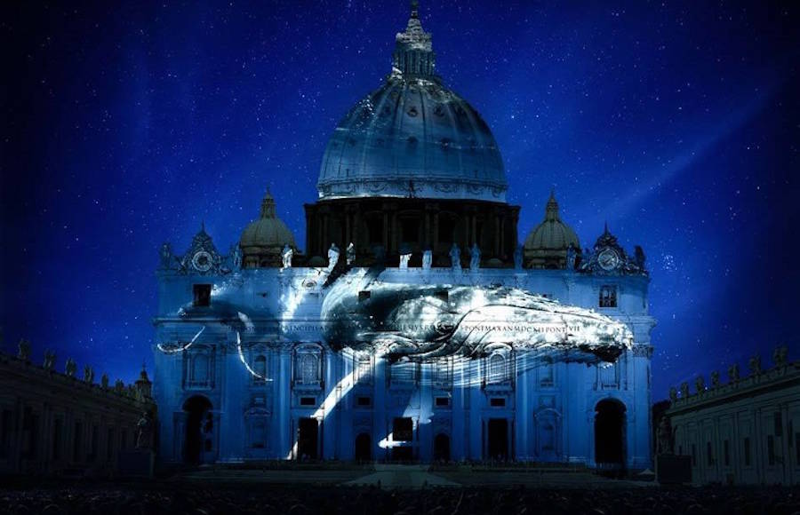 Endangered Species Projected on Vatican