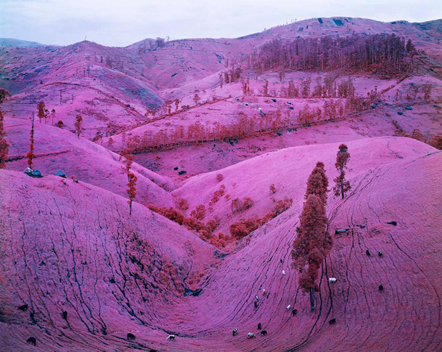 richardmosse-8