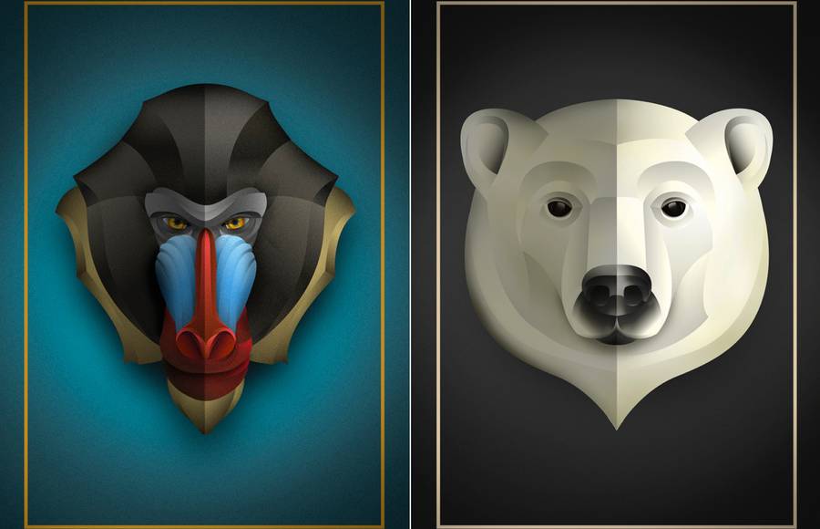 Symmetrical Animals Illustrations