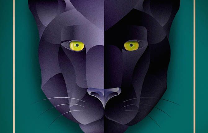 Symmetrical Animals Illustrations