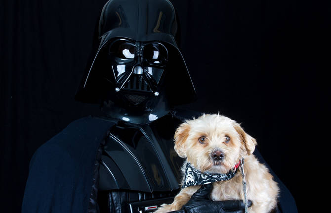 Shelter Animals Portraits with Star Wars Characters