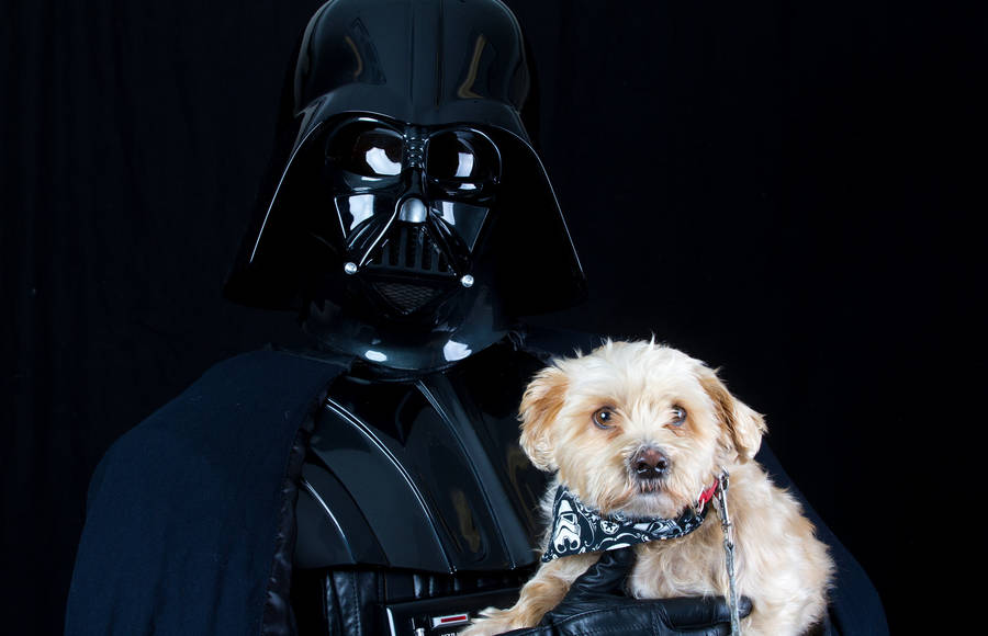 Shelter Animals Portraits with Star Wars Characters