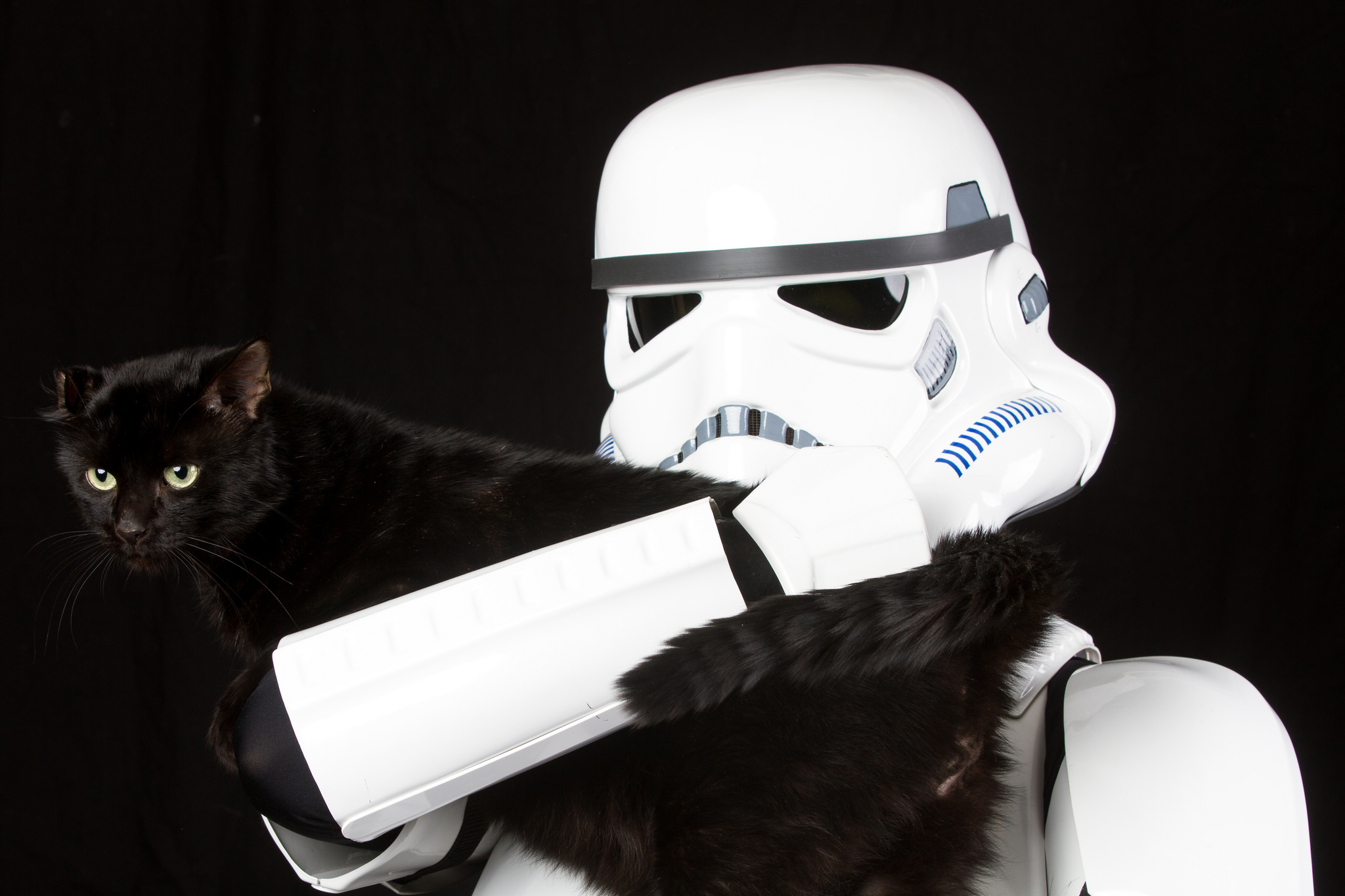 shelteranimalsstarwarsforceawakens8