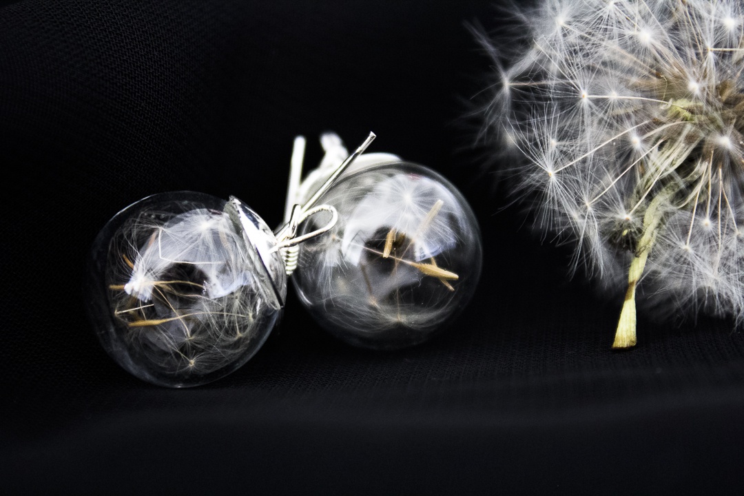 shopfubiz-0b