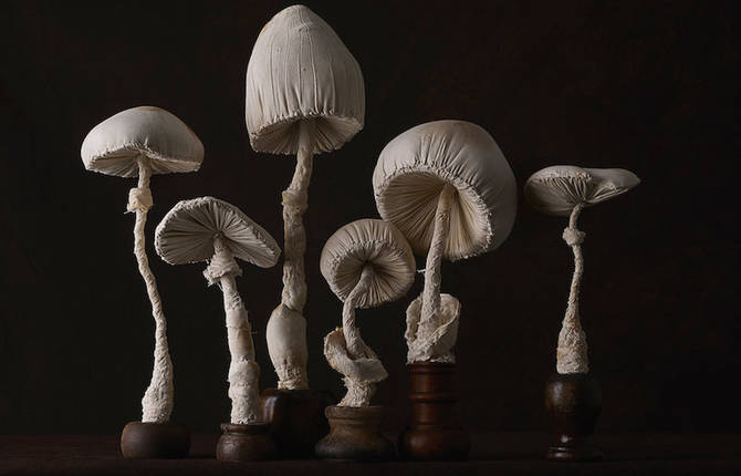 Toadstool Sculptures Crafted from Vintage Textiles