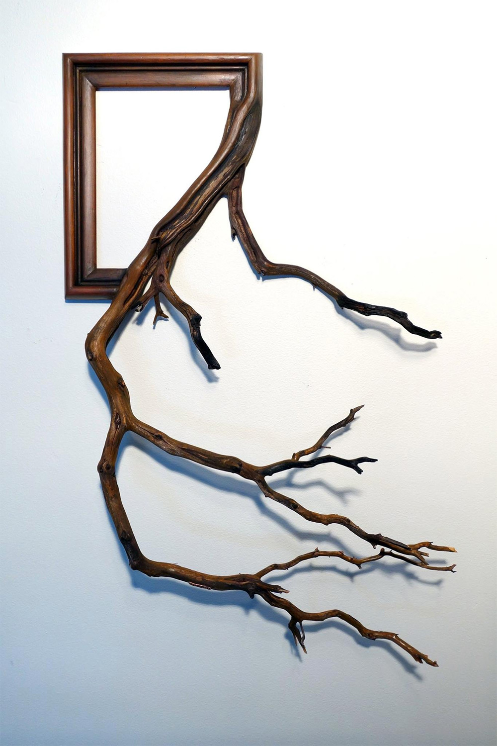 treebranchframes5