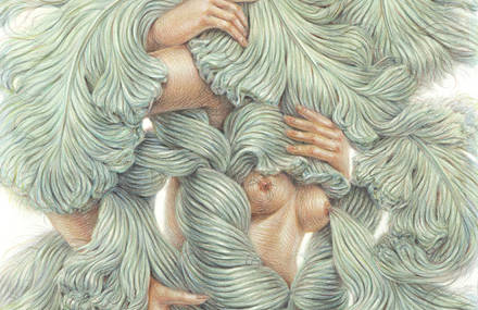 Pearly Hairy Illustrations