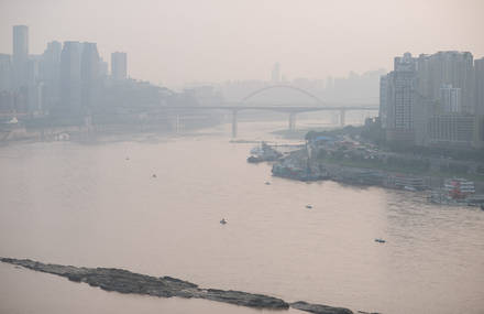 Urban Jungle of Chongqing