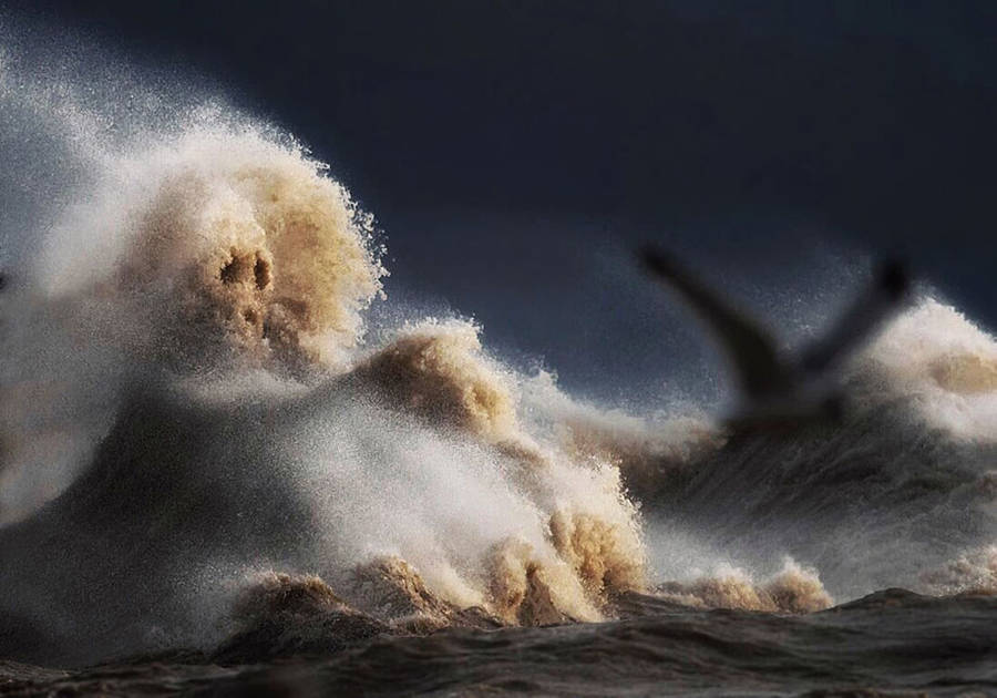 Scariest waves in clearance the world