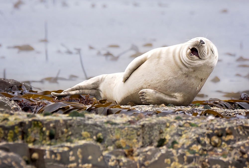 wildlifeawardswinners5