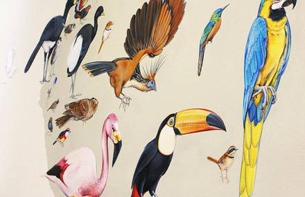 Scientific Illustrator Paints Giant Murals Featuring 243 Bird Families