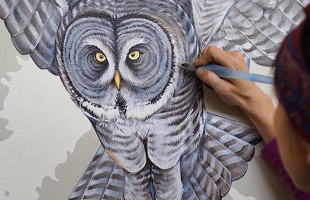 Scientific Illustrator Paints Giant Murals Featuring 243 Bird Families