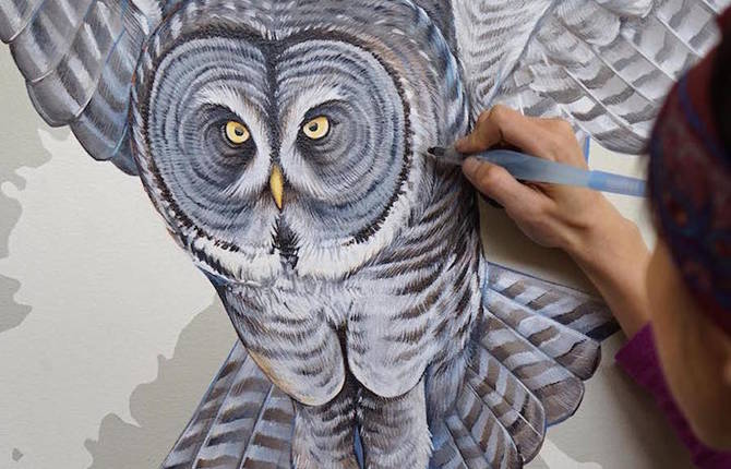 Scientific Illustrator Paints Giant Murals Featuring 243 Bird Families