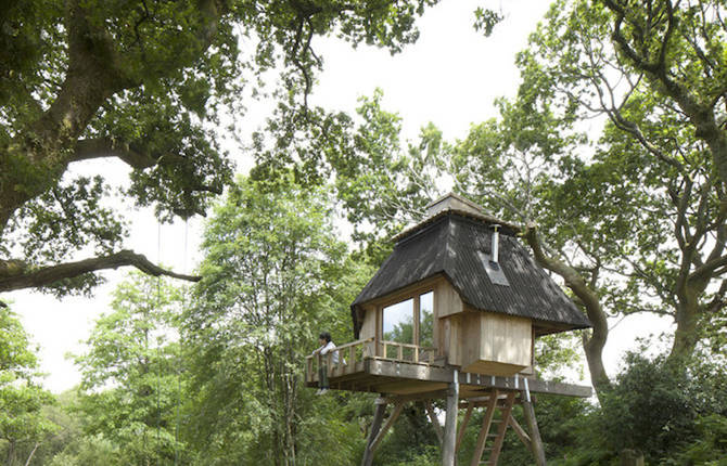 Tiny Hut In The Woods